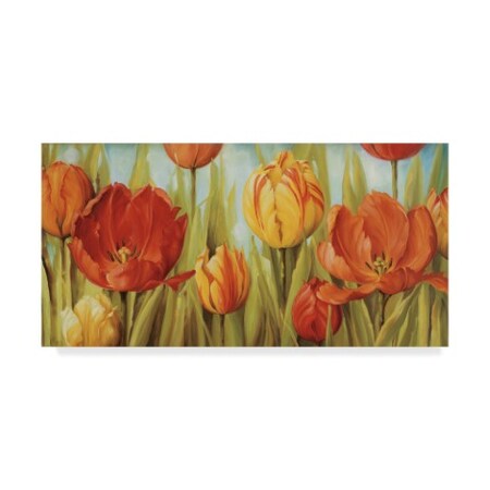 Trademark Fine Art Lisa Audit 'Tulip Fields' Canvas Art, 12x24 ALI31444-C1224GG